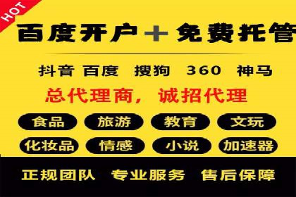 经典案例：SEM代运营服务公司的成功之路