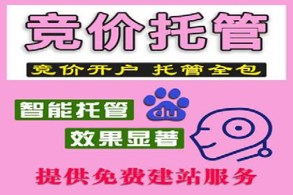 百度推广实战案例：优化广告投放策略