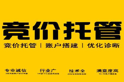 推广竞价实战技巧：从成功案例中汲取经验